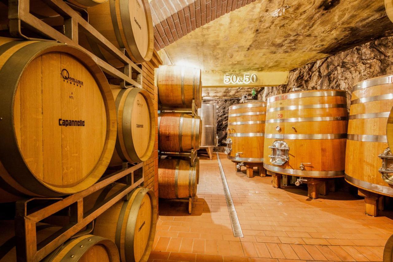 Capannelle Wine Resort Gaiole in Chianti Eksteriør bilde