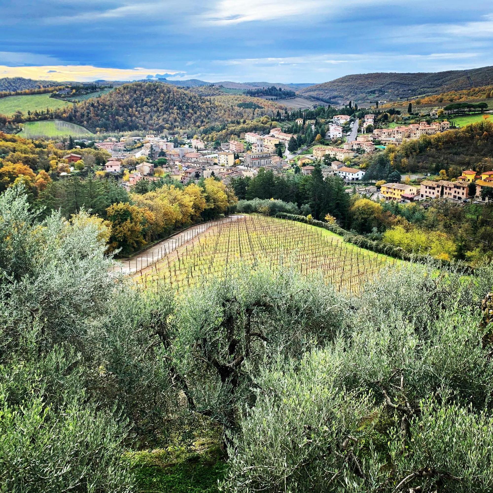 Capannelle Wine Resort Gaiole in Chianti Eksteriør bilde