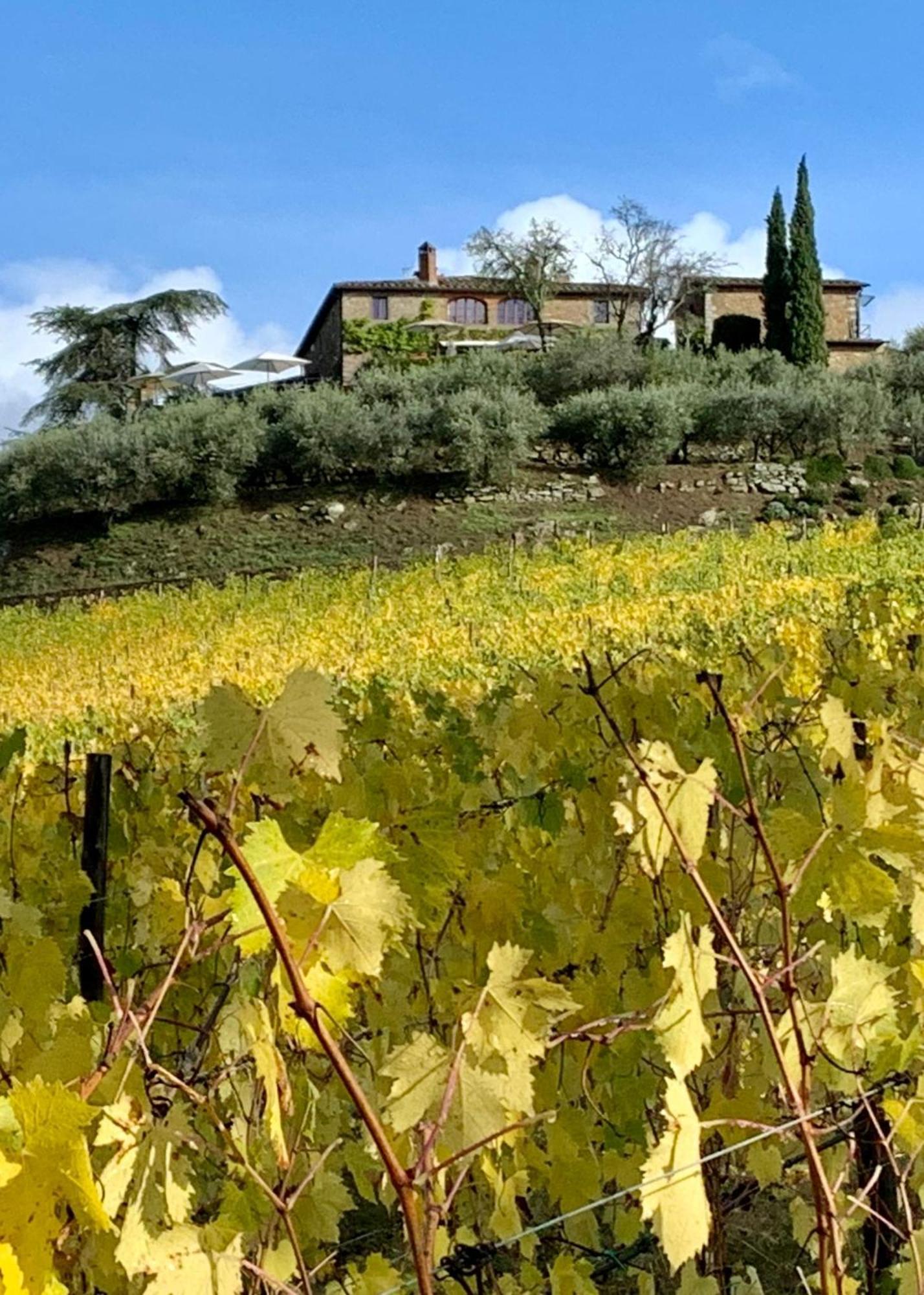 Capannelle Wine Resort Gaiole in Chianti Eksteriør bilde