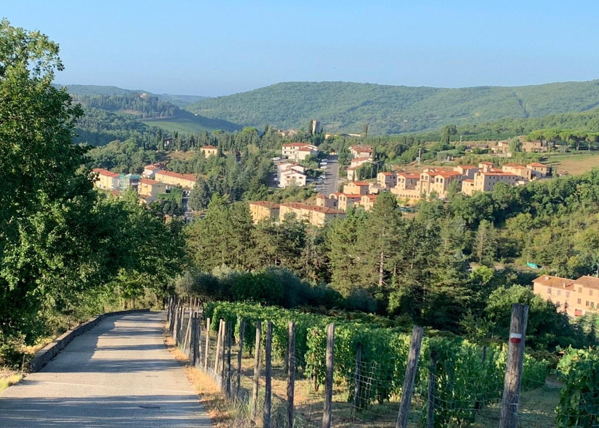 Capannelle Wine Resort Gaiole in Chianti Eksteriør bilde