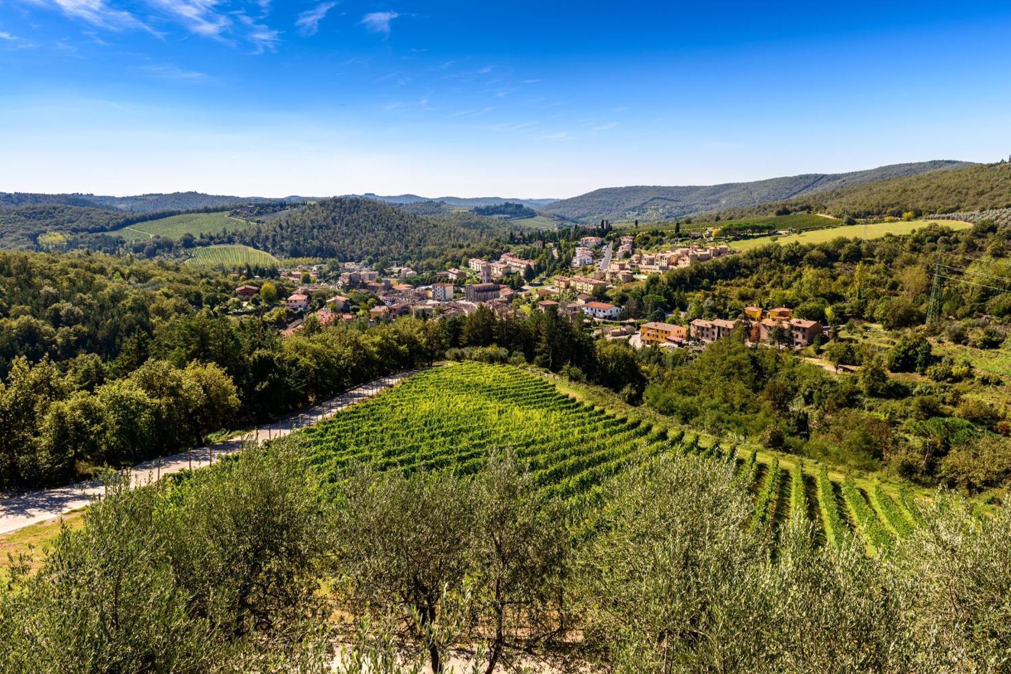 Capannelle Wine Resort Gaiole in Chianti Eksteriør bilde