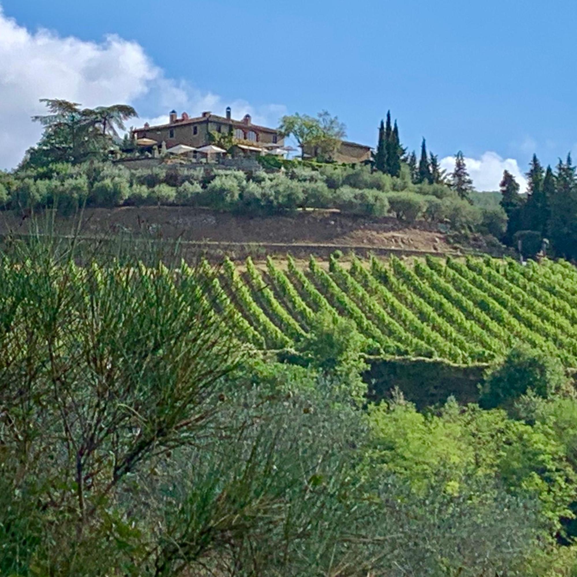 Capannelle Wine Resort Gaiole in Chianti Eksteriør bilde