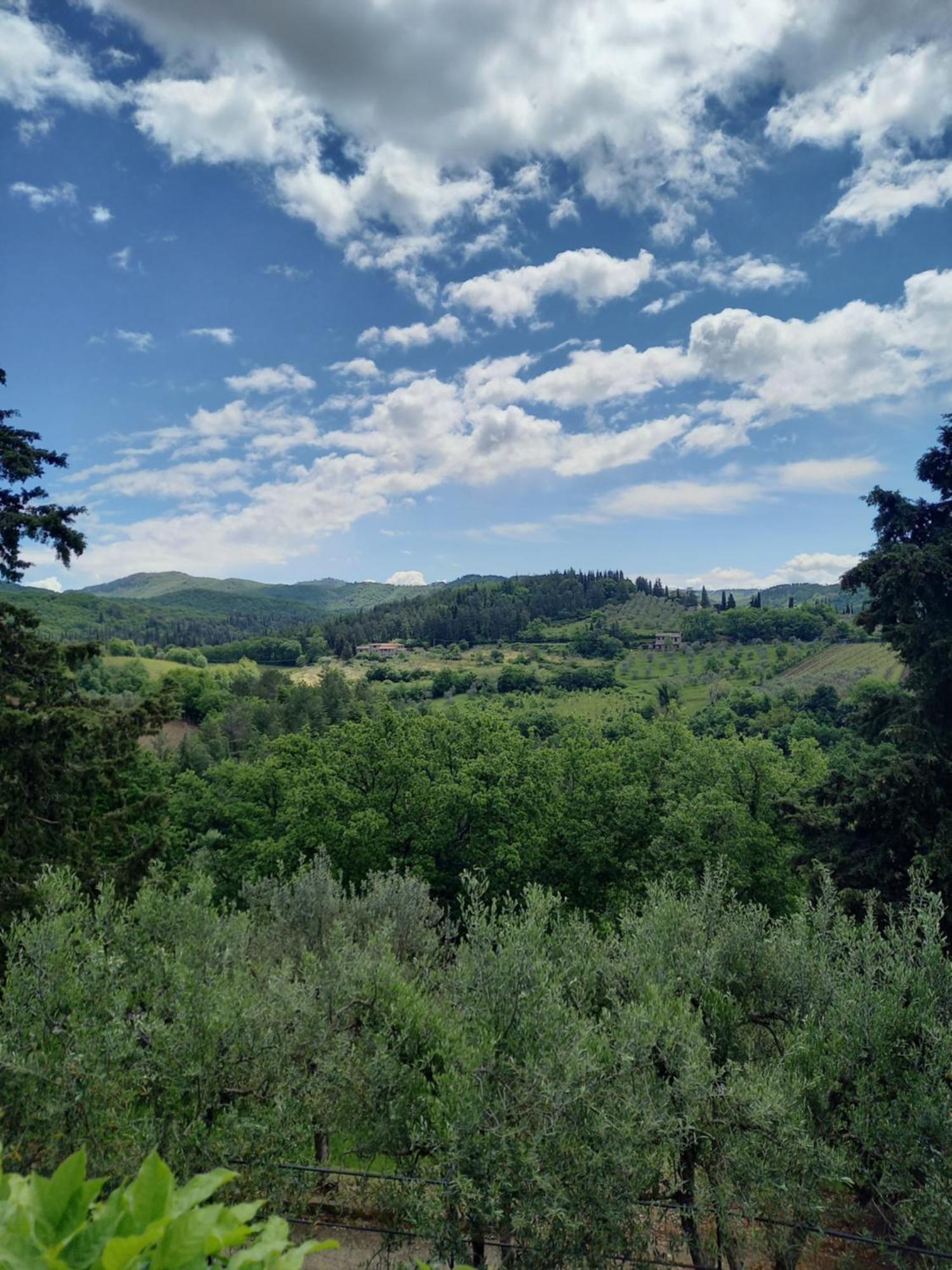Capannelle Wine Resort Gaiole in Chianti Eksteriør bilde